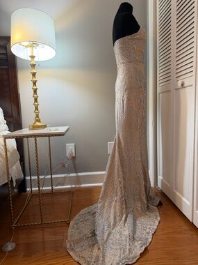 GORGEOUS Nude mesh Embellished w/ silver beading with train over silk satin